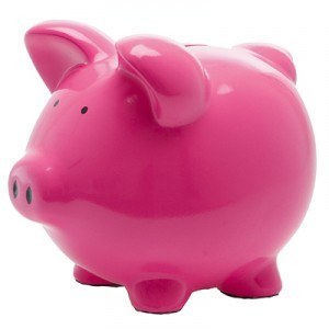 pt-piggy-bank-pink-2-300x300